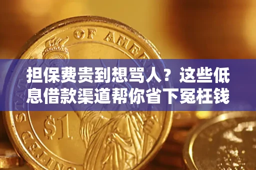 北京担保费贵到想骂人？这些低息借款渠道帮你省下冤枉钱